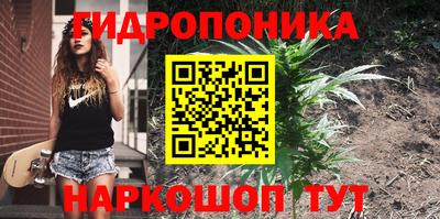 PSILOCYBIN Бугуруслан