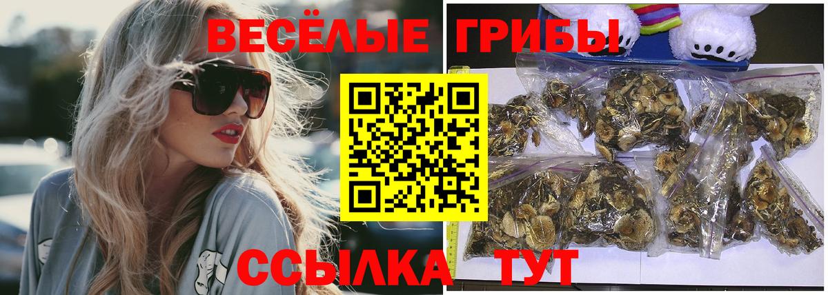 Галлюциногенные грибы Magic Shrooms Благовещенск